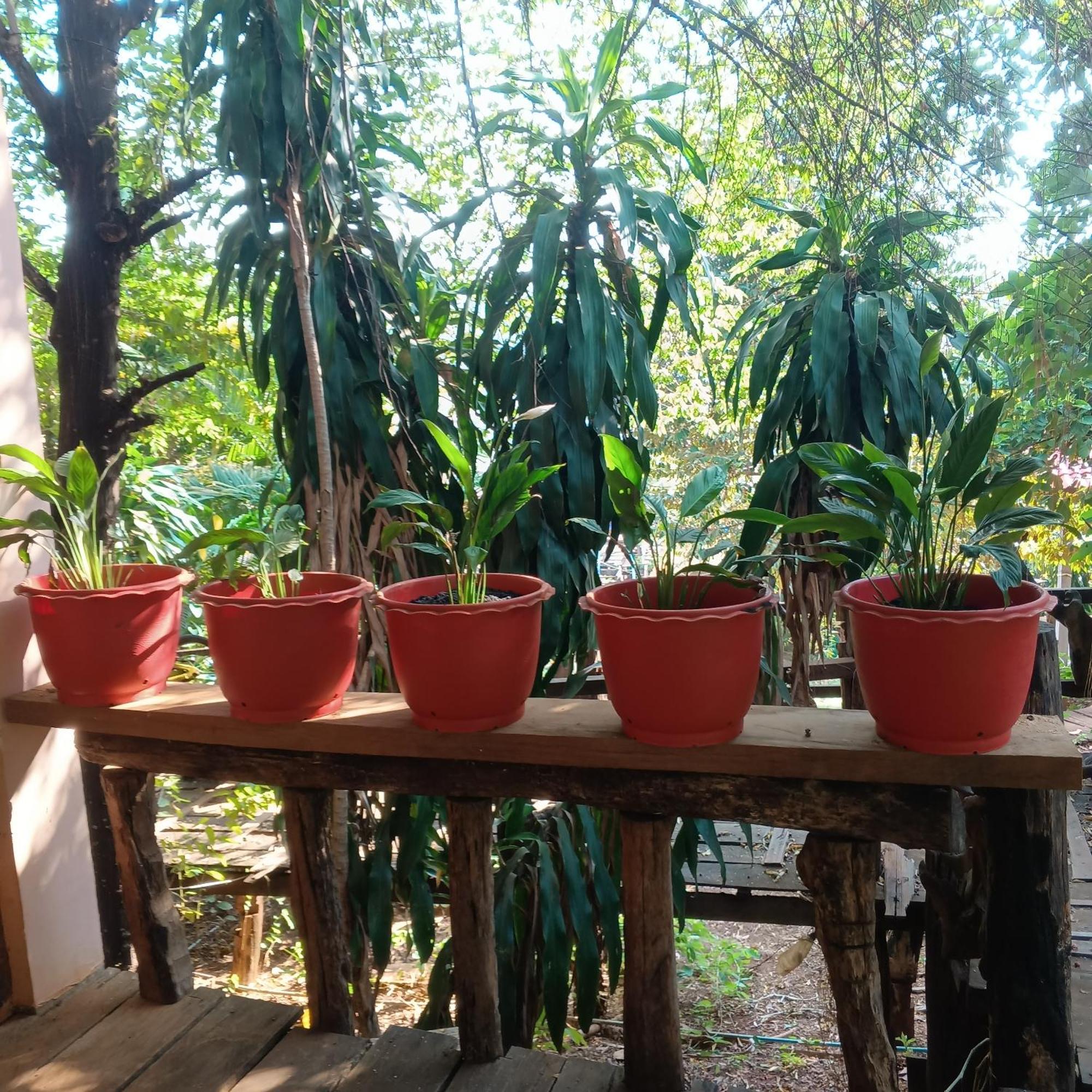 Ferienwohnung Familyhouse & Trekking Banlung Zimmer foto